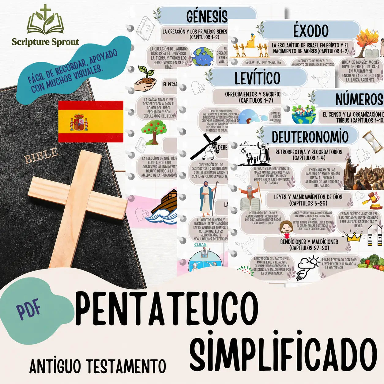Guía de Estudio de la Biblia en Español | Antiguo y Nuevo Testamento Resumidos | Biblia Fácil para Familias y Niños | PDF Digital